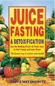 Steve Meyerowitz - Juice Fasting And Detoxification (Engelstalig boek)