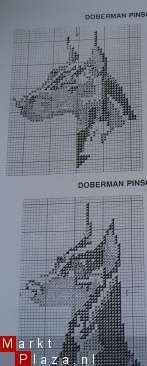 Borduurpatroon Doberman pincher - nr. 1