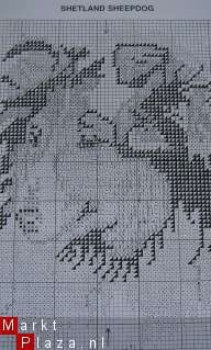 Borduurpatroon van Shetland Sheepdog - nr. 1