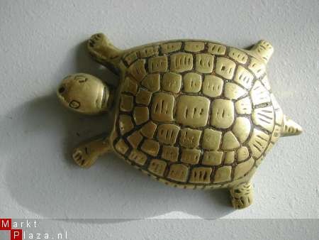 koperen schildpadje 6,5 x 5 cm gew. 62 gram - 1