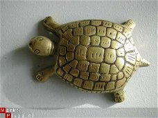 koperen schildpadje 6,5 x 5 cm gew. 62 gram