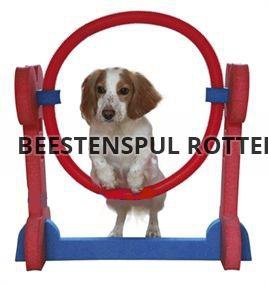 Agility - Hoop Jump, Nieuw, €23.95 - 1