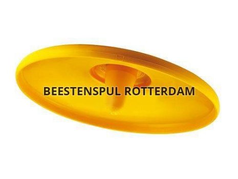 Frisbee for dogs, Nieuw, €3.95 - 1