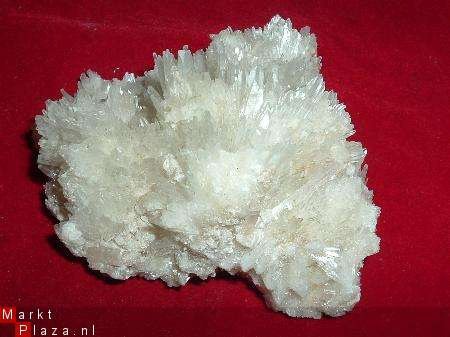 #26 Sicilie Celestien Coelestien Celestite kristalgroepje - 1