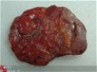 #6 Carnelian Karneool Carneool ruw Zuid-Afrika - 1 - Thumbnail