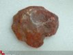 #14 Carnelian Karneool Carneool ruw Zuid-Afrika - 1 - Thumbnail