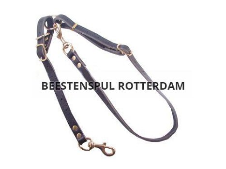 Bottcher tuig leder - Messing, Nieuw, €19.50 - 1