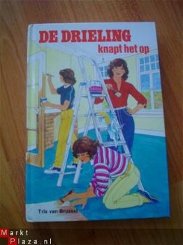 De drieling knapt het op door Trix van Brussel - 1