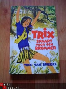 Trix spaart voor een brommer door Trix van Brussel