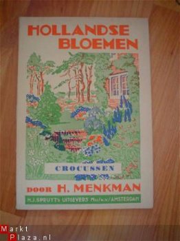 Hollandse bloemen: Crocussen door H. Menkman - 1