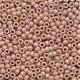 Mill Hill Antique Seed Beads 03018 Coral Reef - 1 - Thumbnail