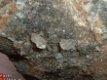 #8 ECHT UNIEK Herkimer Kwarts Quartz crystals Poland - 1 - Thumbnail