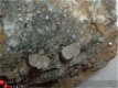 #8 ECHT UNIEK Herkimer Kwarts Quartz crystals Poland - 1 - Thumbnail