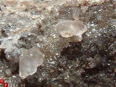 #8 ECHT UNIEK Herkimer Kwarts  Quartz crystals Poland