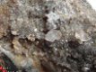 #8 ECHT UNIEK Herkimer Kwarts Quartz crystals Poland - 1 - Thumbnail