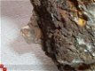 #7 Herkimer Kwarts Quartz crystals Poland - 1 - Thumbnail