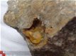 #6 Vergroeide Herkimer Kwarts Quartz crystals Poland - 1 - Thumbnail