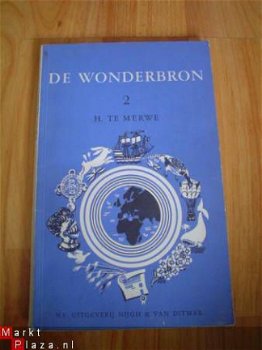 De wonderbron 2 door H. te Merwe - 1