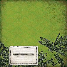 SALE NIEUW vel gloss scrappapier Street Lace 11 Dragonfly Journal van DCWV