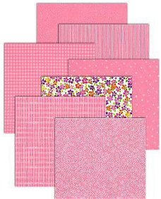 SALE NIEUW vel dubbelzijdig scrappapier Pink Flower / Princess Pink van Bo Bunny