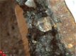 #11 Herkimer Diamant Kwarts Quartz crystals Poland - 1 - Thumbnail