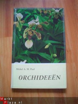 Orchideeën door Michel A. M. Paul - 1