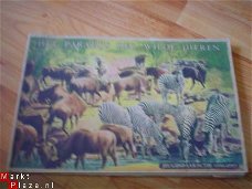 Het paradijs der wilde dieren, jeugdspaaractie 1956/1957