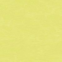 SALE NIEUW vel scrappapier Birthday Lime Texture Flat Paper K&Company
