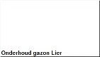 Onderhoud gazon Lier - 1 - Thumbnail