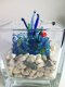 Handgemaakt aquarium van glas in accubak uniek NIEUW. - 3 - Thumbnail