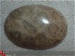 #36 Cabochon Fossiel Koraal Fossil Coral Cabochon - 1 - Thumbnail