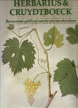 Herbarius @ Cruydtboeck. Beroemde geillustreerde plantenboeken - 1