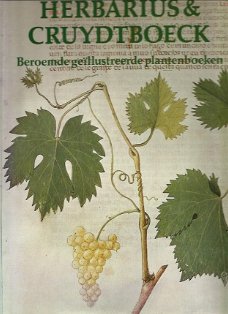 Herbarius @ Cruydtboeck. Beroemde geillustreerde plantenboeken