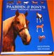 Paarden en Pony's - 1 - Thumbnail