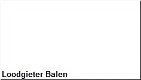 Loodgieter Balen - 1 - Thumbnail