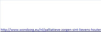 Palliatieve zorgen Sint-Lievens Houtem - 2