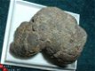 Dinosaurus Coproliet Coprolite Canada #30 - 1 - Thumbnail