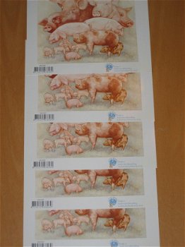 5 Knipvellen A5 formaat --- MS1005 --- VARKENS - 1