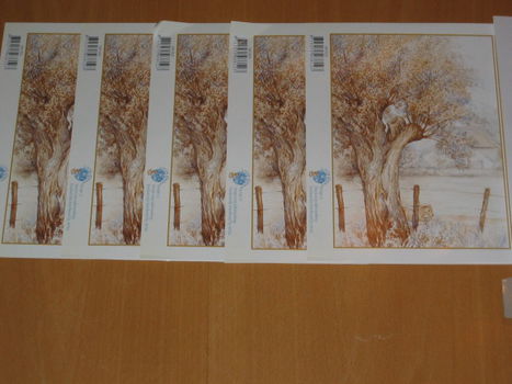 5 Knipvellen A5 formaat --- MS1003 --- LANDSCHAP - 1