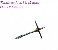 === Stuitrad = Franse pendule = oud === 26848