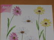 3D knipvel (A5) --- BLOEMEN --- MARGRIET, MARGRIETEN - 2 - Thumbnail