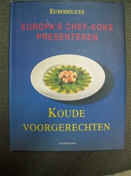 Koude voorgerechten Eurodelices Europa's chefkoks presenteren - 1