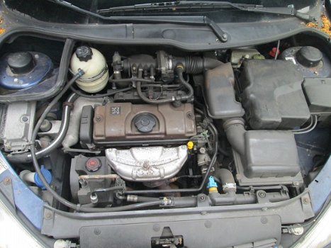 Peugeot 206 1.6 5-deurs Hatchback Kleurcode Ege Plaatwerk en Onderdelen - 5