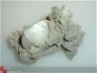 Bulgarije Calciet #32 - 1 - Thumbnail