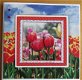 Holland tulpen - 1 - Thumbnail