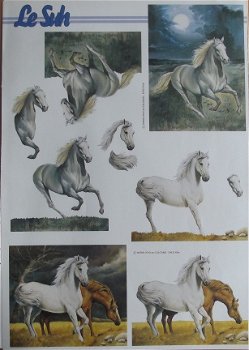 Witte paarden - 1