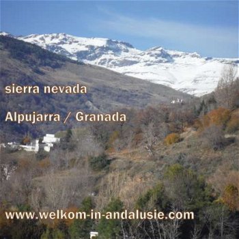 vakantieboerderij Spane andalusie in de bergen te huur - 8
