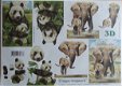 Olifant panda - 1 - Thumbnail