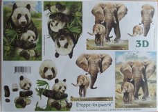 Olifant panda