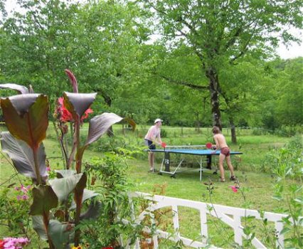 Mooie oude boerderij, verwarmd Zwembad, grote tuin,wifi - 4
